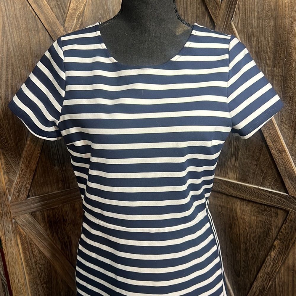 Express Dress - Picture 3 of 11